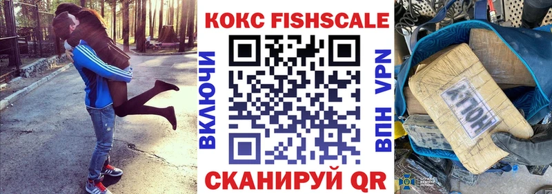 Купить закладки  Каменногорск  COCAIN FishScale 