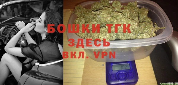 PSILOCYBIN Карпинск