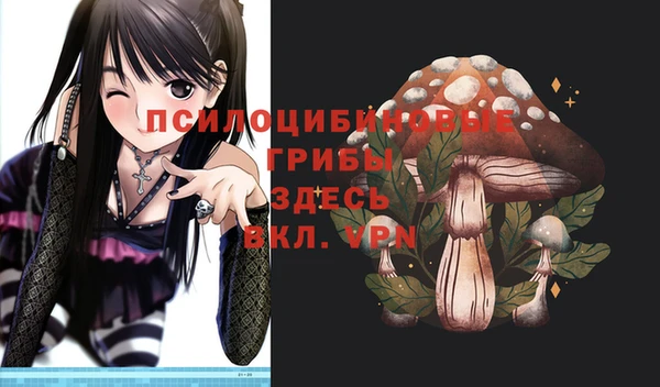 PSILOCYBIN Карпинск