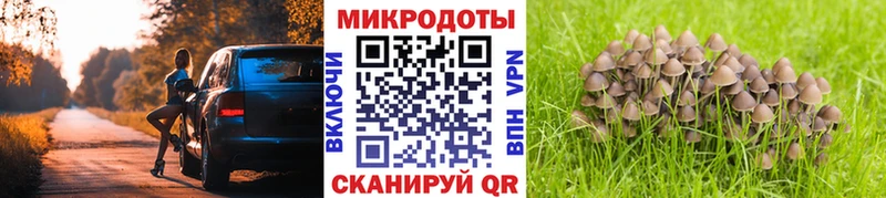 Галлюциногенные грибы Magic Shrooms  Купить  Каменногорск 