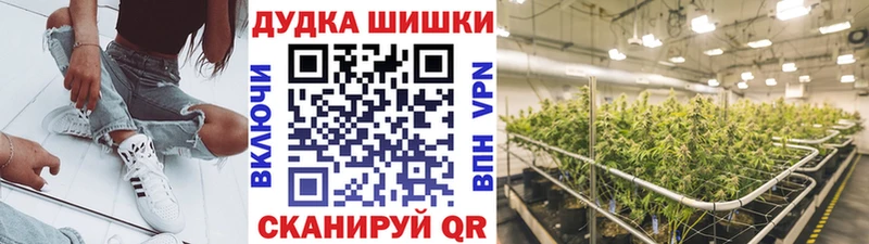 Каннабис марихуана  Купить где  Каменногорск 